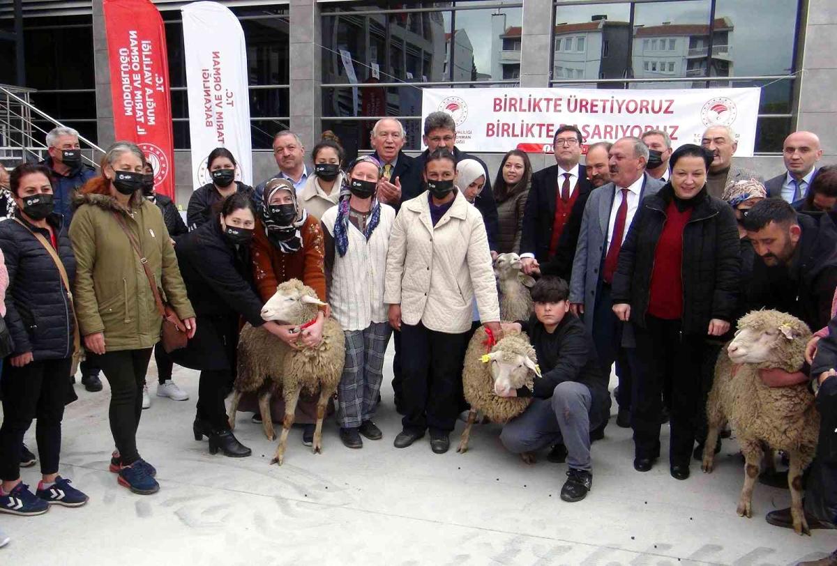 Son dakika haberleri: Yangın mağduru kadın üreticilere 10 bin koyun