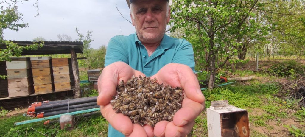 Bursa’da arı faciası…Yüzlerce kovan arı telef oldu