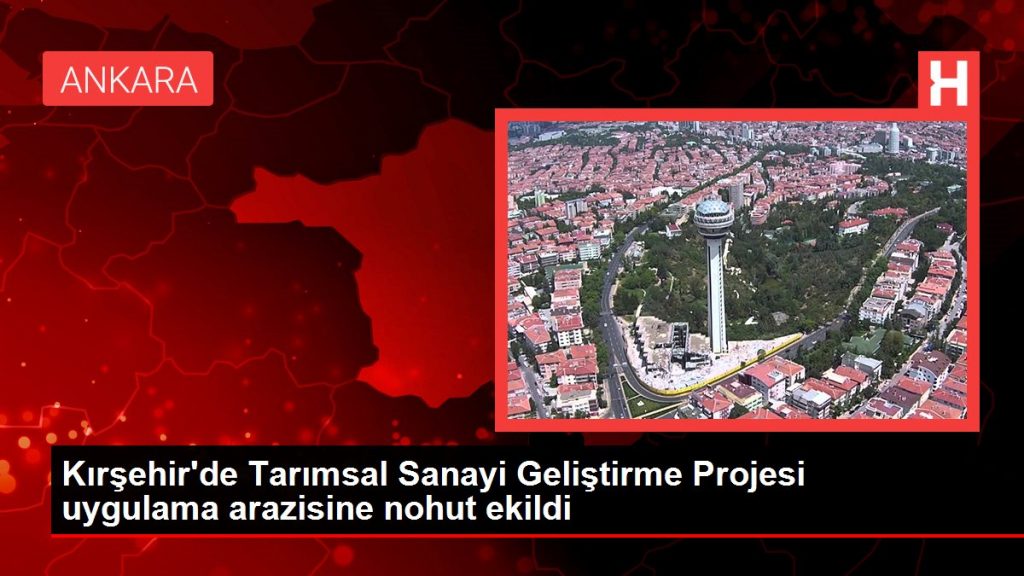 Kırşehir’de Tarımsal Sanayi Geliştirme Projesi uygulama arazisine nohut ekildi