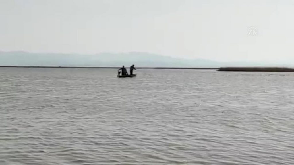 Kızılırmak Kuş Cenneti’nde kaçak avlanan sazan balıkları suya salındı
