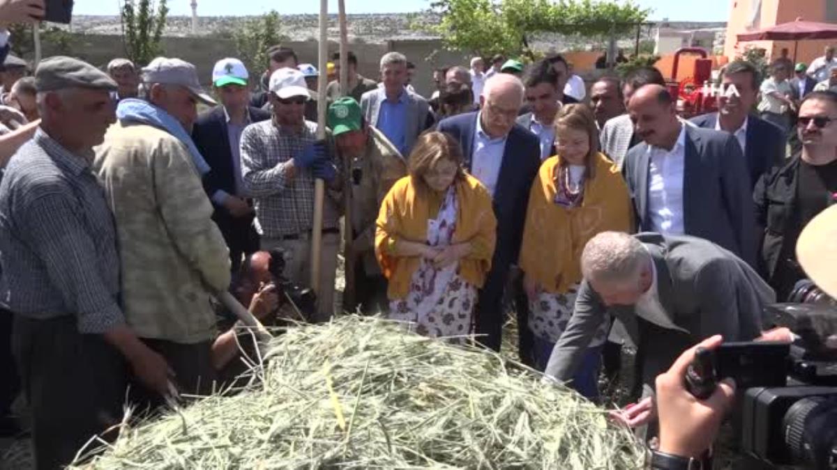 Araban’da festival coşkusu