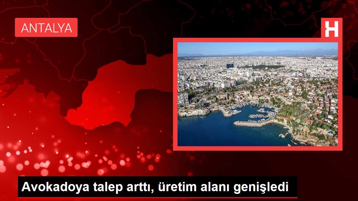 Avokadoya talep arttı, üretim alanı genişledi