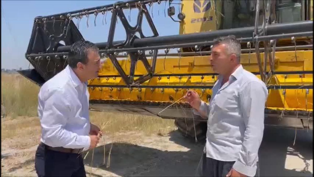 Biçerdöver Operatörü: “Fiyatlar Açıklanmadığı İçin Çiftçi Ekinini Bekletiyor, Sıcağı Yiyen Buğdayın Verimi Düşüyor”