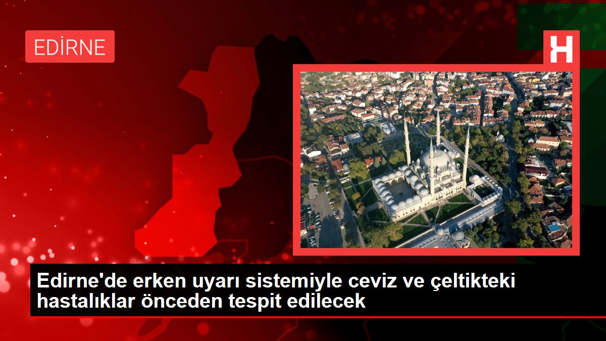 Edirne’de erken uyarı sistemiyle ceviz ve çeltikteki hastalıklar önceden tespit edilecek