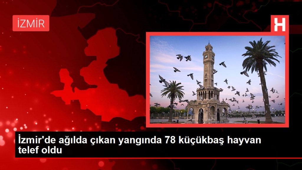 İzmir’de ağılda çıkan yangında 78 küçükbaş hayvan telef oldu