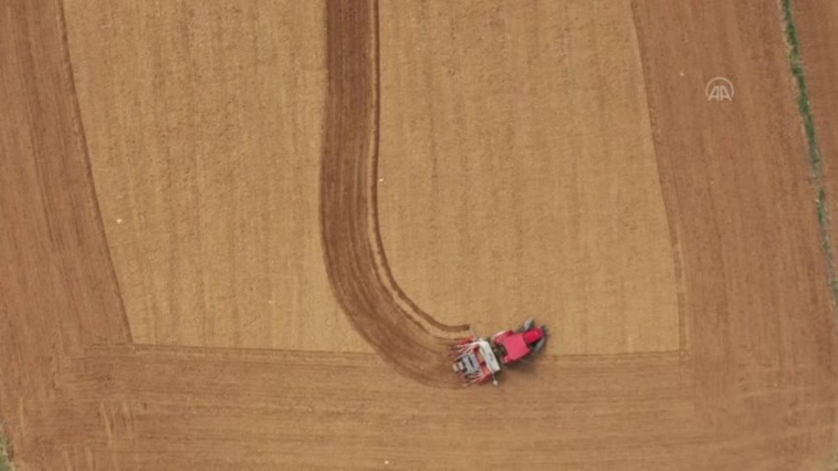 Kastamonu’da tekstil sektörü için kenevir üretimine başlanıyor