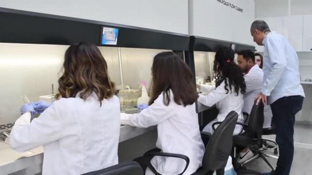 Laboratuvarda bitki klonlayan akademisyenler, fide üretim sürecini kısalttı