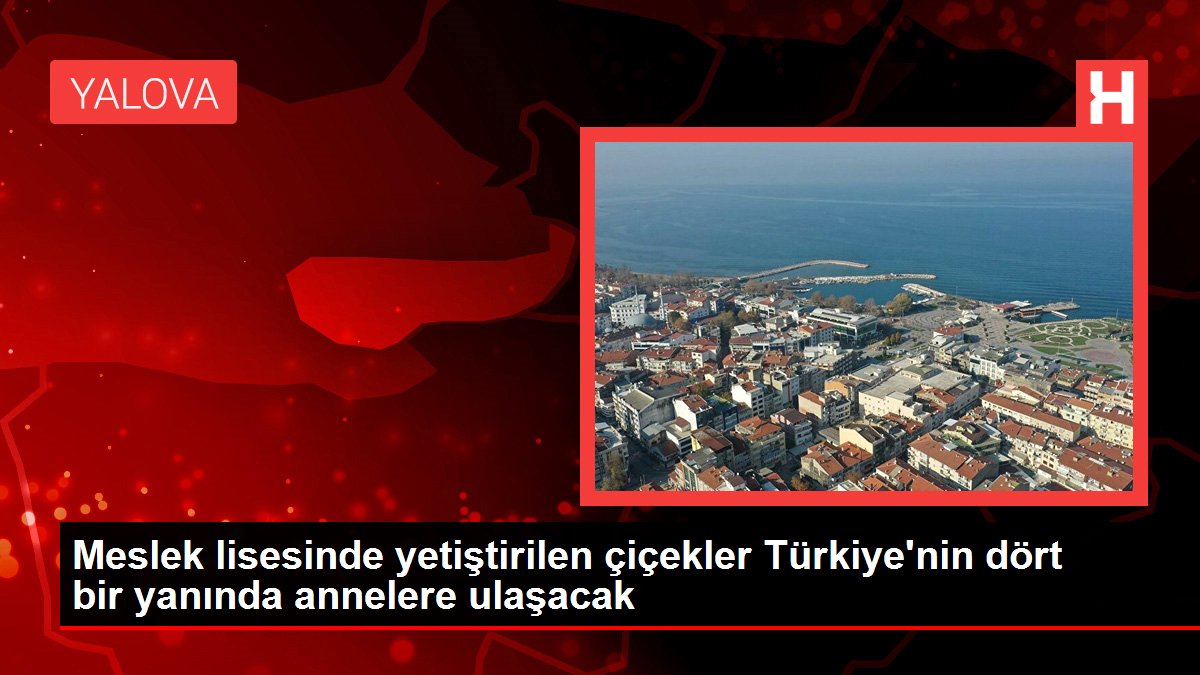 Meslek lisesinde yetiştirilen çiçekler Türkiye’nin dört bir yanında annelere ulaşacak