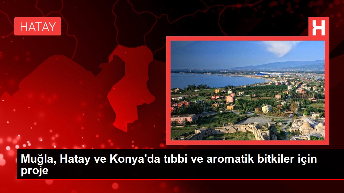 Muğla, Hatay ve Konya’da tıbbi ve aromatik bitkiler için proje