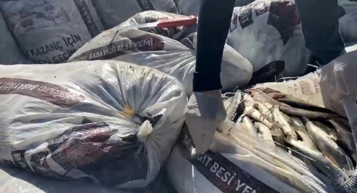 Muradiye’de 2.5 tok kaçak avlanmış inci kefali ele geçirildi