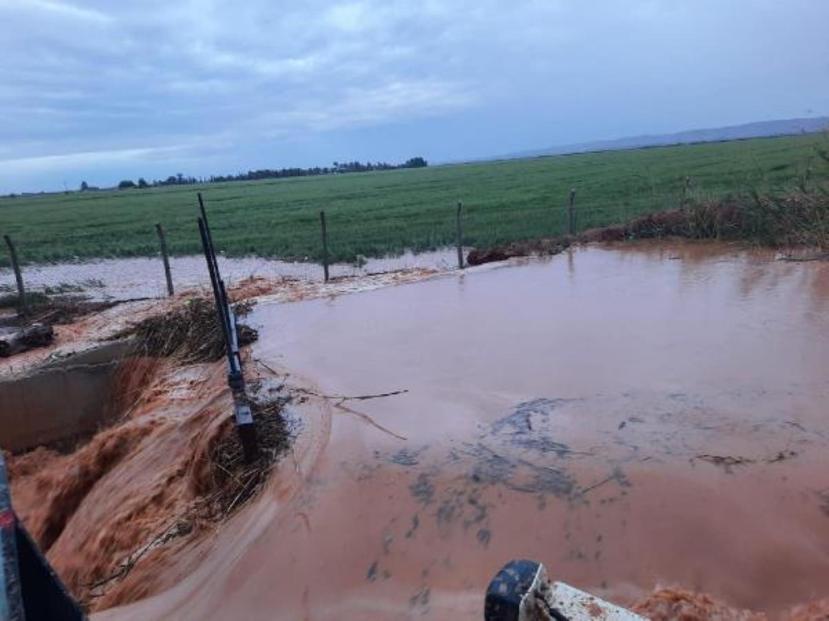Şanlıurfa’da sağanak yağış sele döndü, araziler ve hayvanlar sular altında kaldı