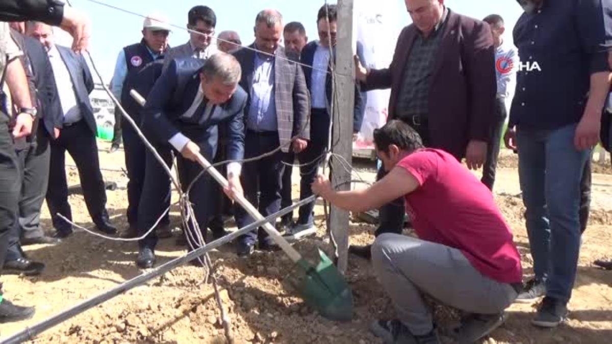 Türkiye’nin en büyük elma üreticisi Hindistan’a açılıyor