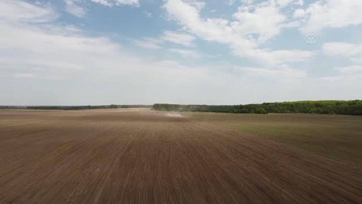 Ukrayna’daki tarım işletmeleri Rusya ile savaş nedeniyle zor durumda