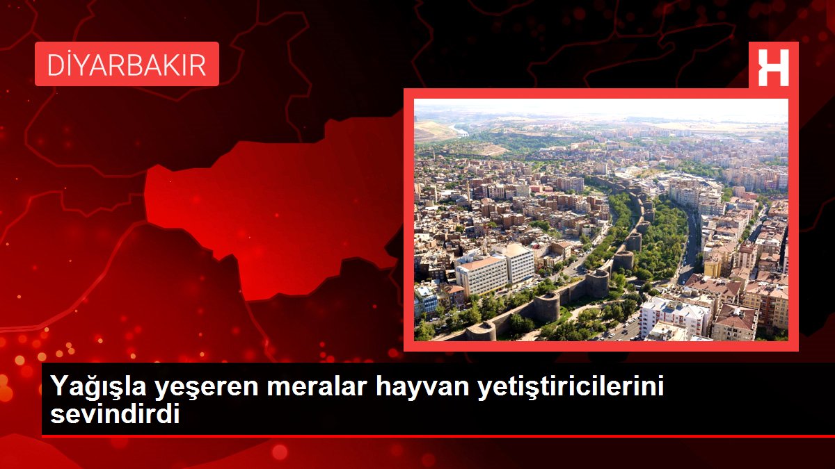 Yağışla yeşeren meralar hayvan yetiştiricilerini sevindirdi