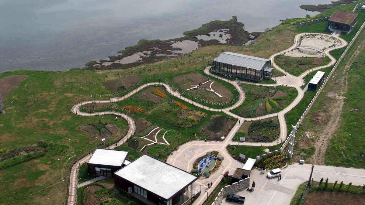 Yalova Altınova tıbbı bitki üretiminde de söz sahibi olacak