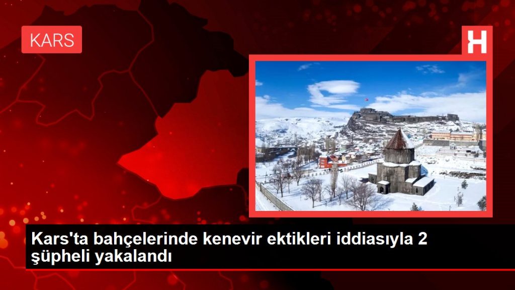 Kars’ta bahçelerinde kenevir ektikleri iddiasıyla 2 şüpheli yakalandı