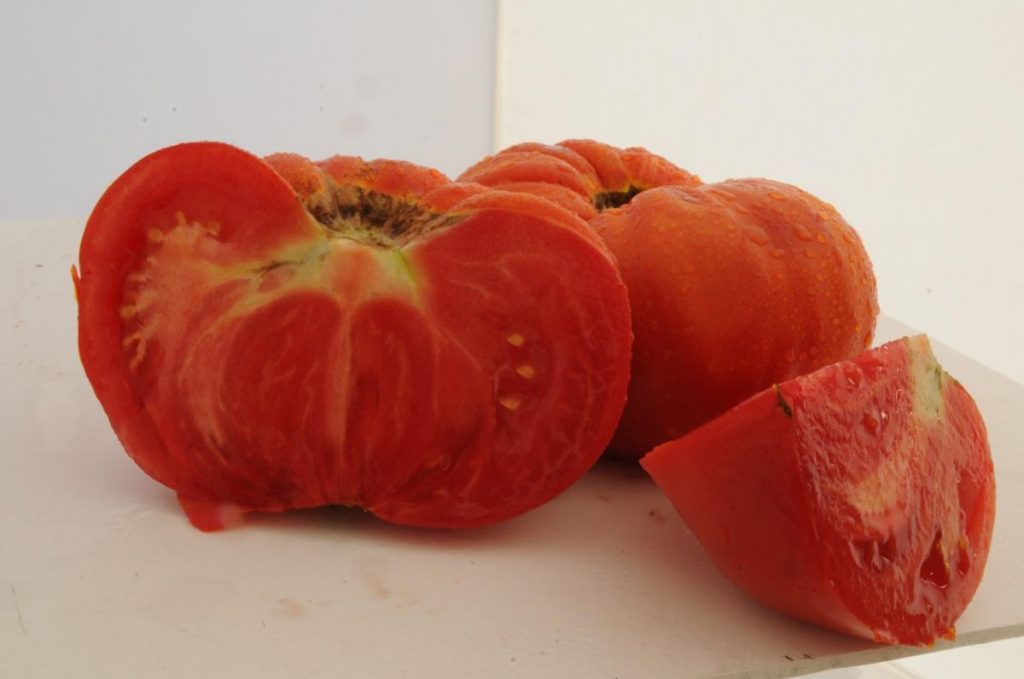 Safranbolu “maniye” domatesi coğrafi işaretle tescillendi