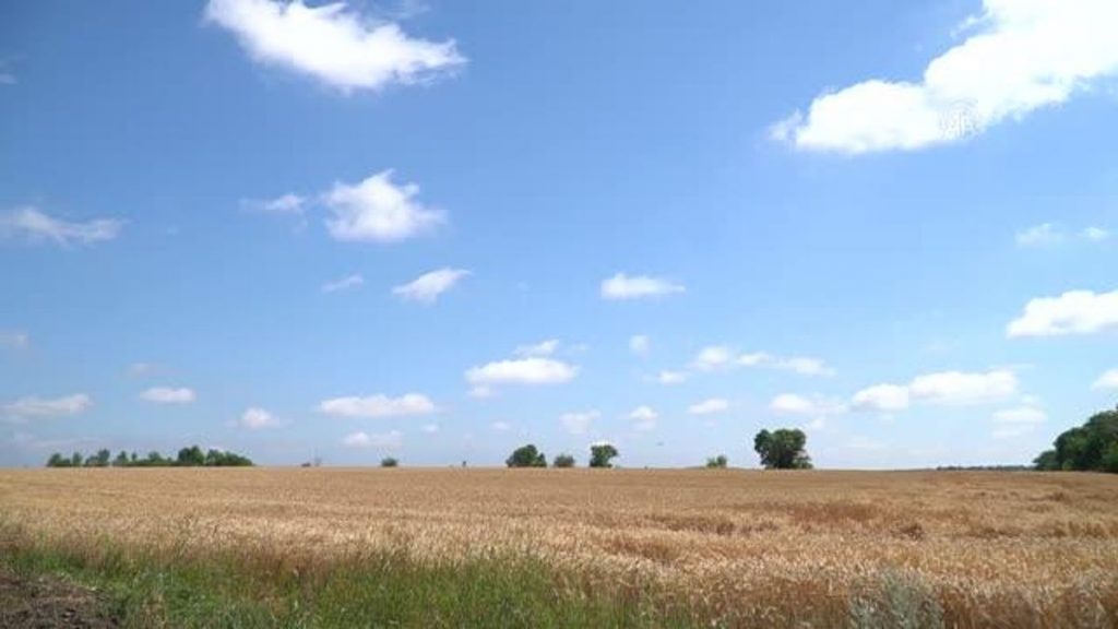 Ukrayna’nın Luhansk bölgesinde, Rus güçlerinin kontrolü altındaki tarım alanları havadan görüntülendi