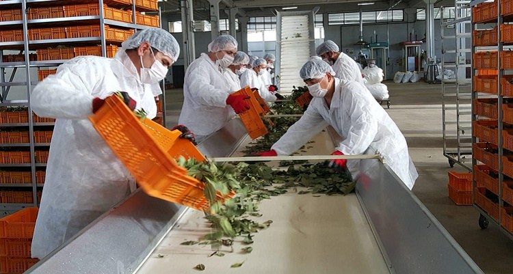 Kırsal kalkınma desteklerinden daha fazla proje yararlanacak