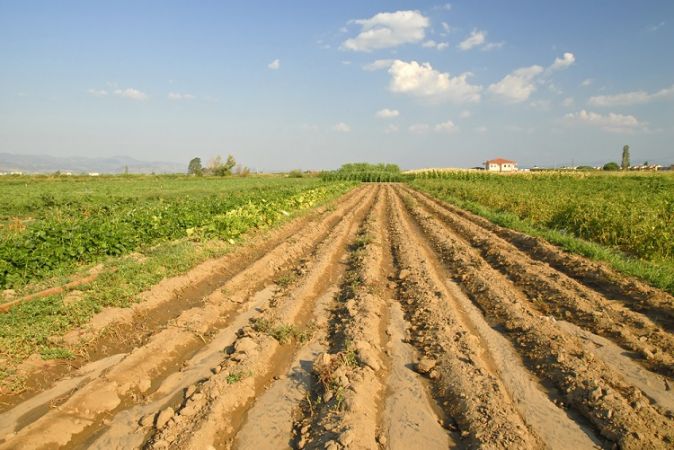 Arazi Bankacılığı projesi, FAO-Türkiye ortaklığında yol alıyor!