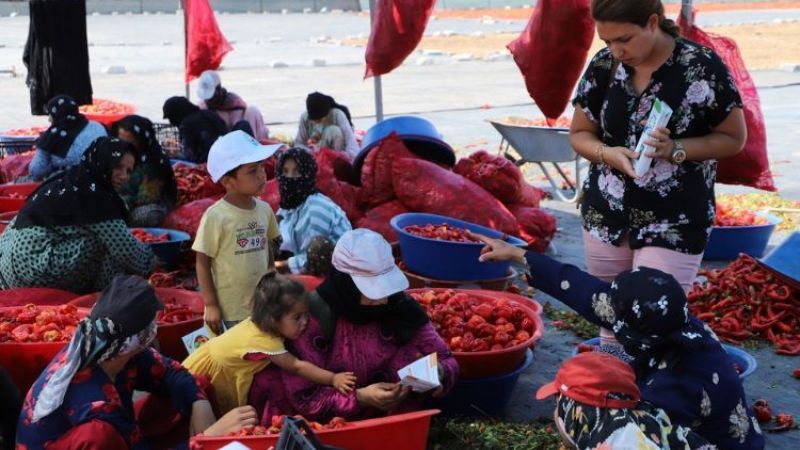 Şanlıurfa Sağlık İl Müdürlüğü’nden İsot mesaisi yapanlara güneş çarpması uyarısı