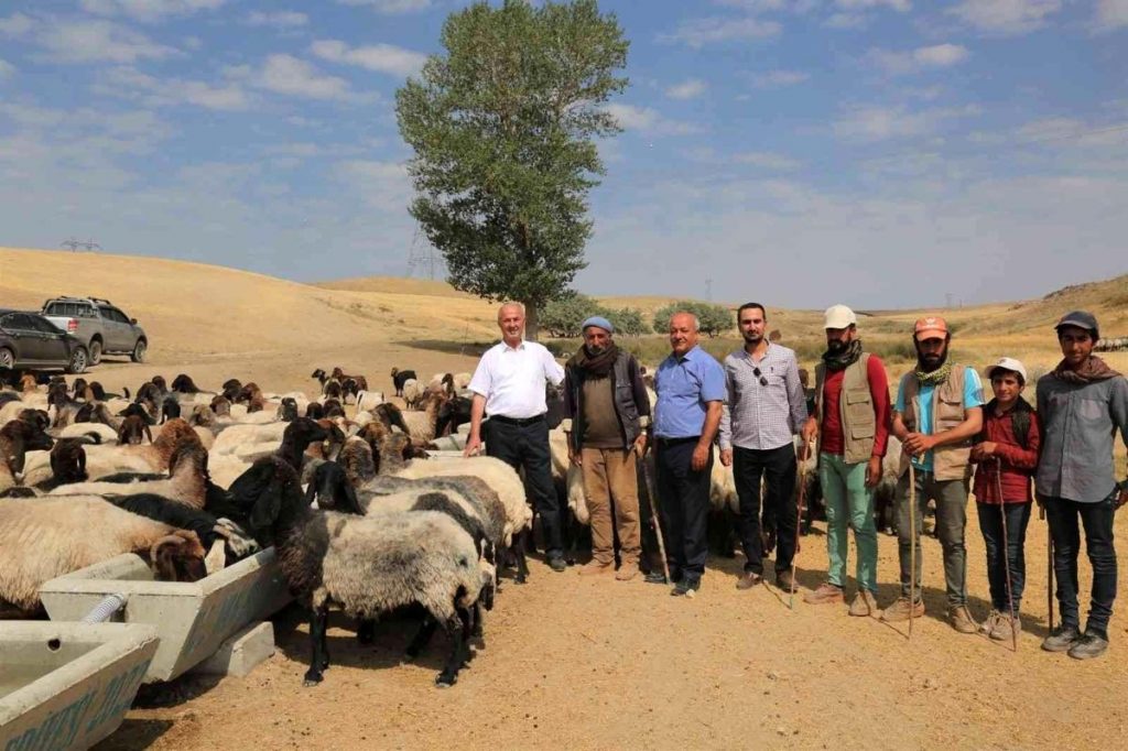 Van haberleri! Tuşba Belediyesinden kırsal mahallelere sıvat desteği