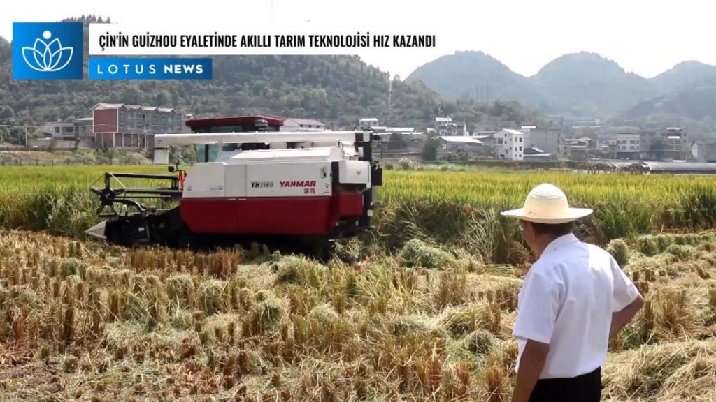 Video: Çin’in Guizhou Eyaletinde Akıllı Tarım Teknolojisi Hız Kazandı