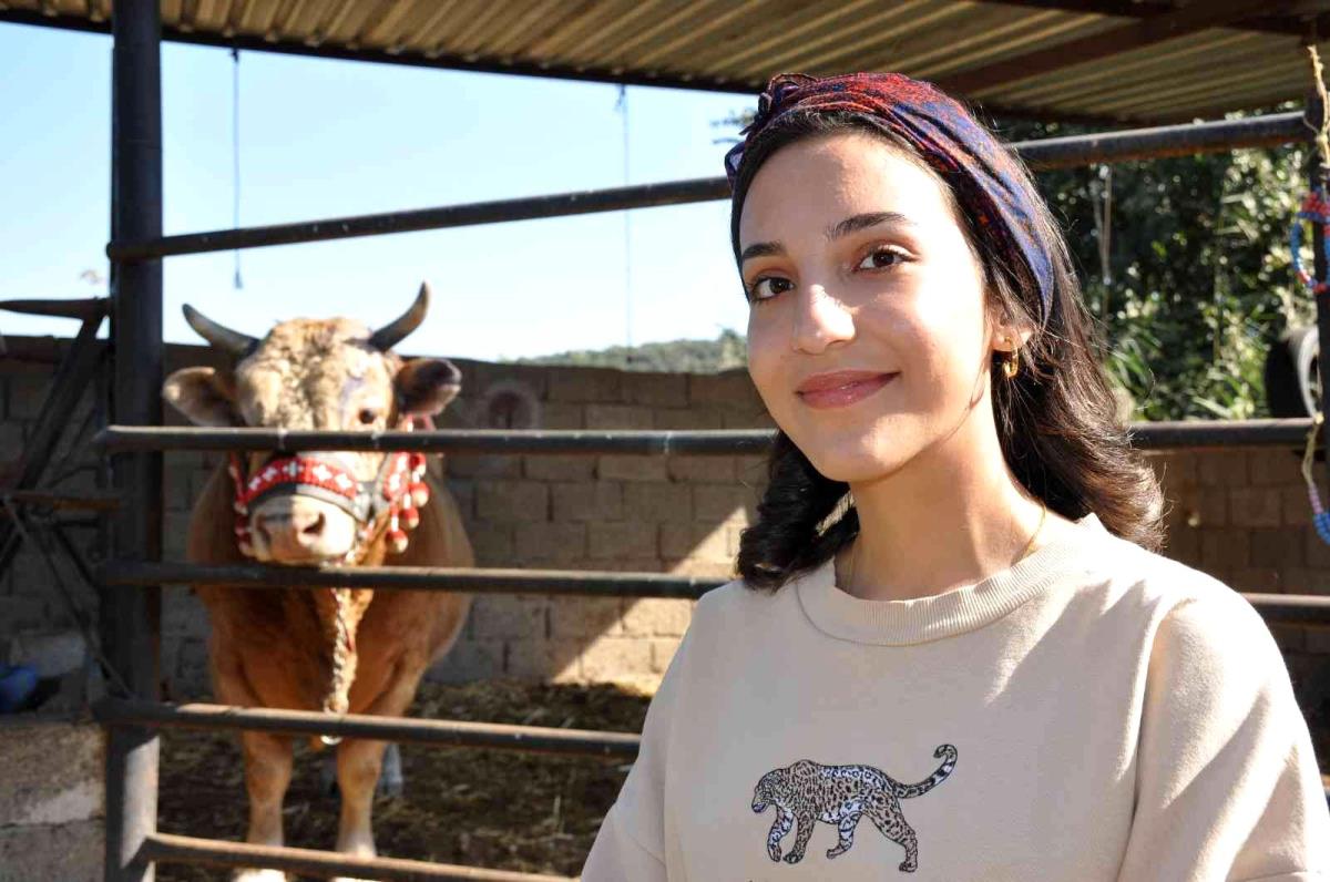 Bingöl haber… Genç kızın boğa sevgisi şaşırtıyor