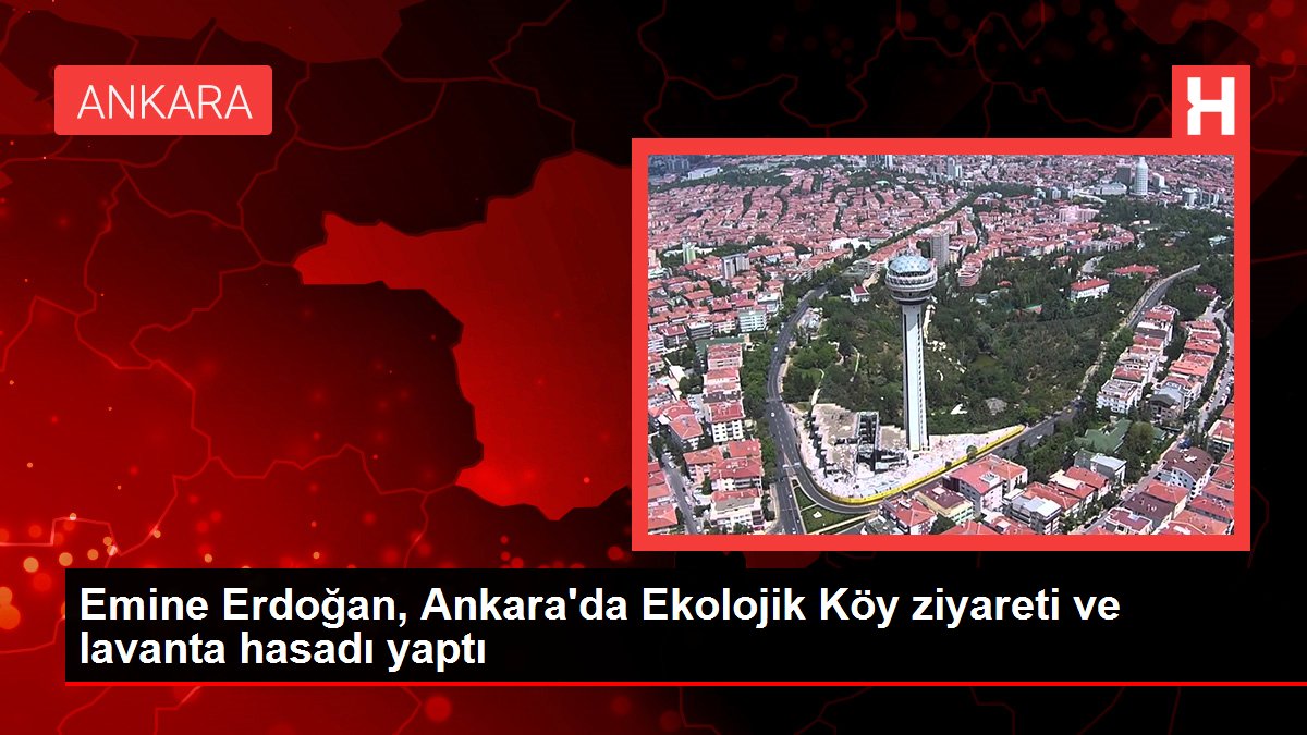Emine Erdoğan, Ankara’da Ekolojik Köy ziyareti ve lavanta hasadı yaptı