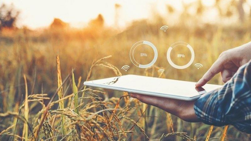 Sağlık ve tarım odaklı girişimlere hibe desteği!