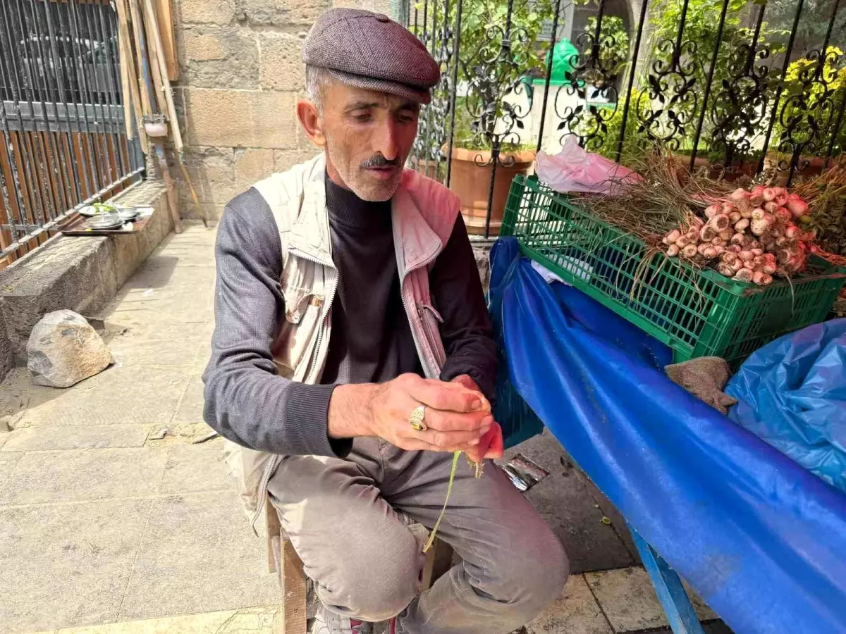 Uçkun Bitkisi: Doğanın Şifa Kaynağı