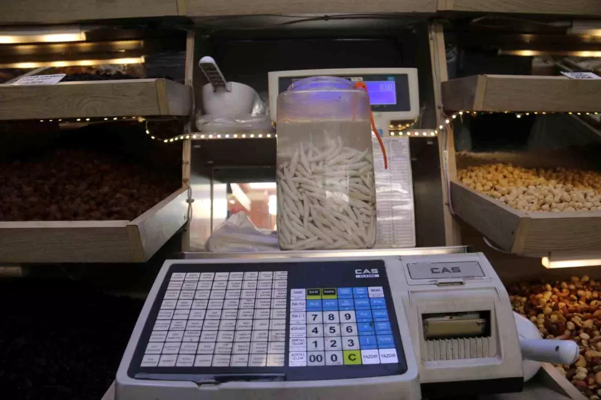 Sivas’ta Kenger Sakızının Fiyatı Yarım Altınla Yarışıyor