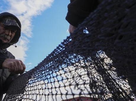 Yarısı tamamlanan av sezonunda hamsi ve sardalya yüz güldürdü
