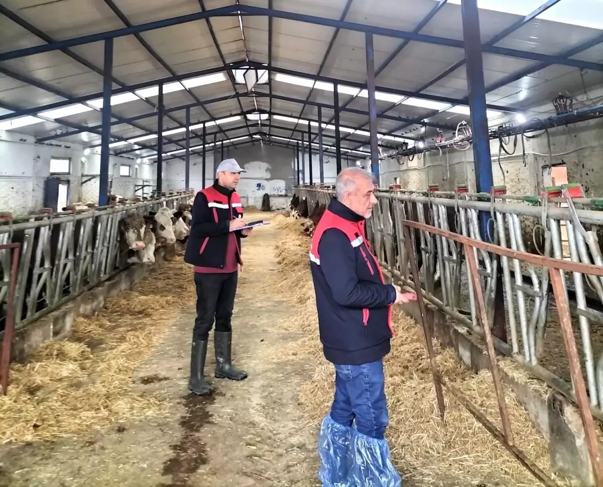 Besicilik işletmelerine yönelik kapasite ölçümleri devam ediyor