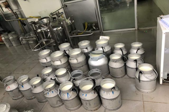 TÜSEDAD: Aralık’ta çiğ süt maliyeti 23,93 TL’ye çıktı