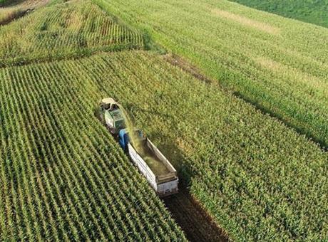 Kırsalda kalkınma 3 yılda yaklaşık 65,5 milyar liralık yatırımla desteklenecek