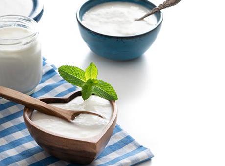 Bağırsakların görünmez kalkanı! Kefir mi yoğurt mu daha güçlü?