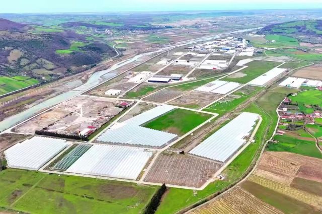 Bakan Yumaklı: Samsun Bafra Sera OTB’ye %80 Hibe Desteği