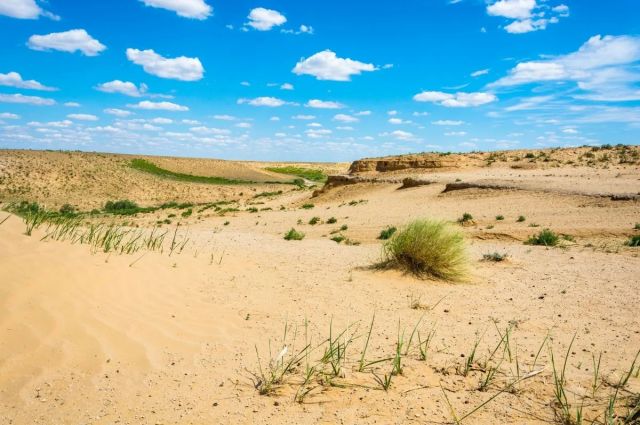 FAO ve WMO Uyardı: Küresel Tarımda Aşırı Sıcaklık Riski