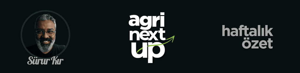 Kuantum Laboratuvarından Savaşın Gölgesindeki Tarlaya