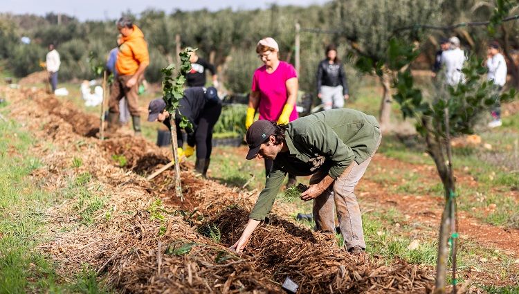 Akdeniz’in tarımsal ormancılık haritası çıkartılıyor