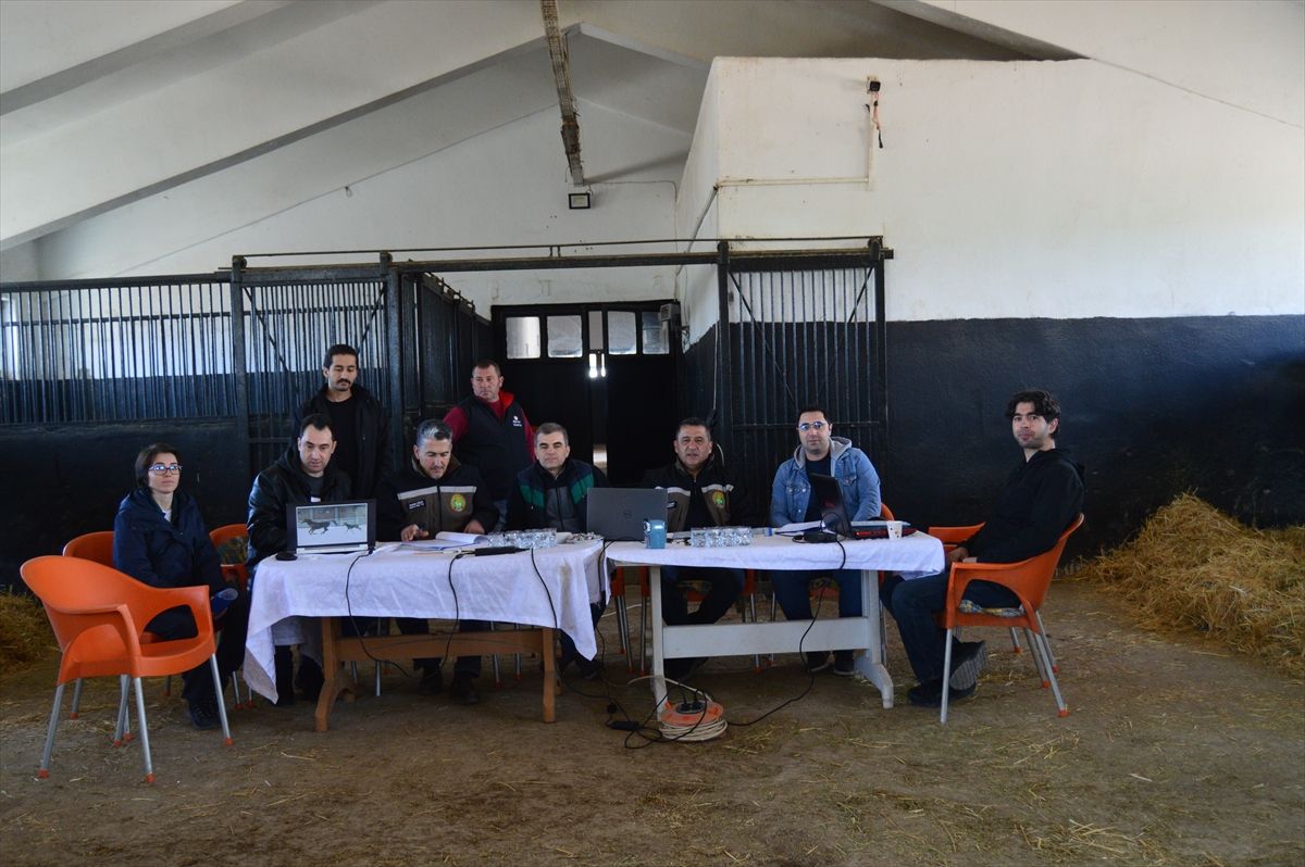 TİGEM, safkan Arap elit ve koşu taylarının seçimini tamamladı