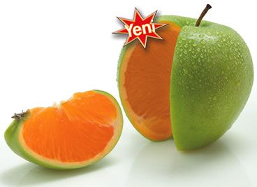 Yeni gıdalara AB kriteri!