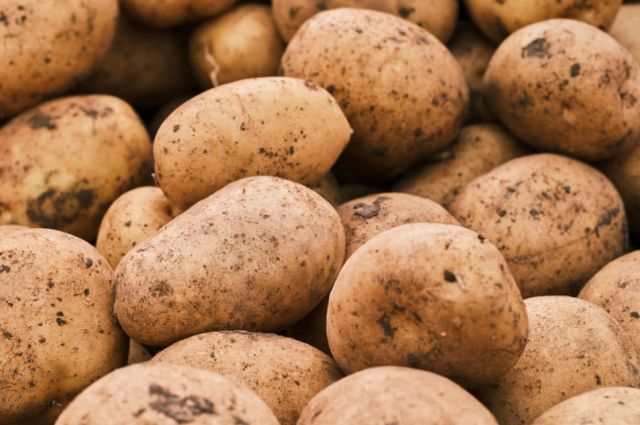 Avrupa’da patates borsası bir ayda yüzde 704 yükseldi