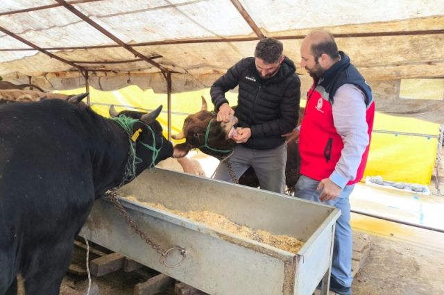 Giresun İl Tarım’dan Ülper kurban pazarında sıkı denetim