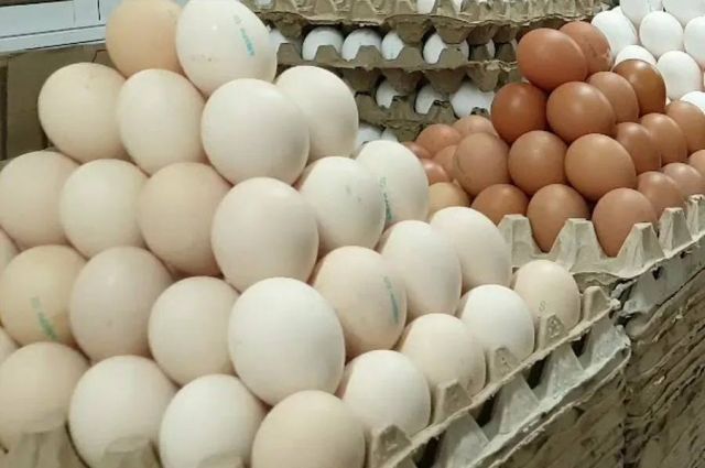 TÜİK: Mart ayında tavuk yumurtası üretimi yüzde 17,6 arttı