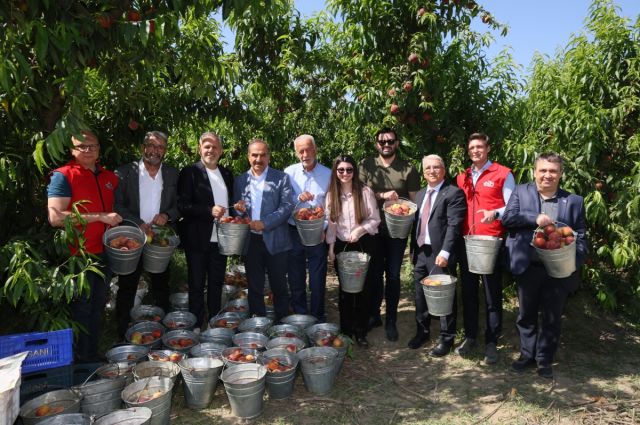 Türkiye Şeftali İhracatında Yüzde 347’lik Rekor Artış Yakaladı