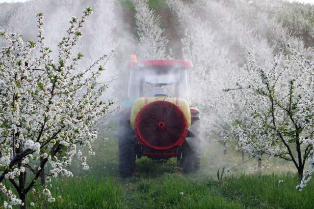 FAO: Dünya pestisit kullanımı 2023’te 3,73 milyon ton oldu