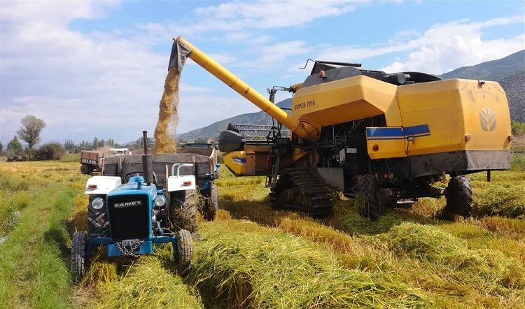 Tarım girdi fiyatlarında aylık artış oranı yüzde 3,41